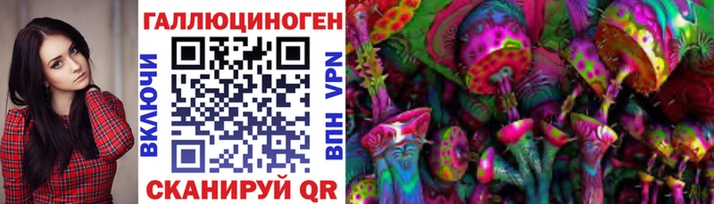 что такое наркотик  Светогорск  Псилоцибиновые грибы Psilocybine cubensis 